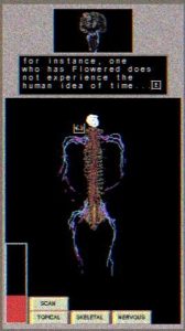 Discover My Body – Buried Treasure